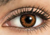 FreshLook ColorBlends Toric Honey Contact Lens Detail