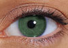 FreshLook Colors Green Contact Lens Detail